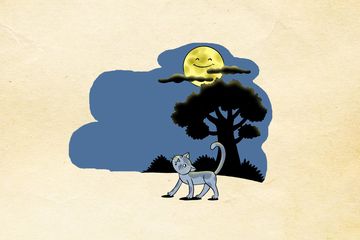 Rahasia Hewan Nokturnal di Malam Hari