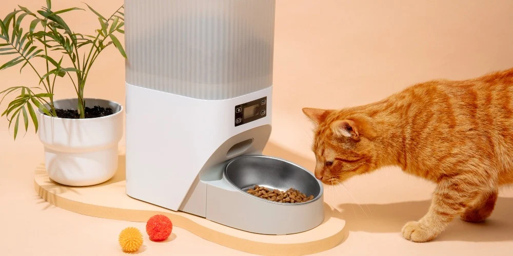 Makanan Kucing Berkualitas Penting Kesehatan Peliharaan