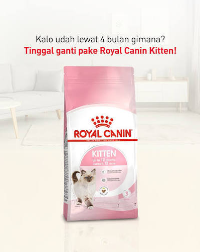 Royal Canin: Nutrisi Spesifik untuk Kucing